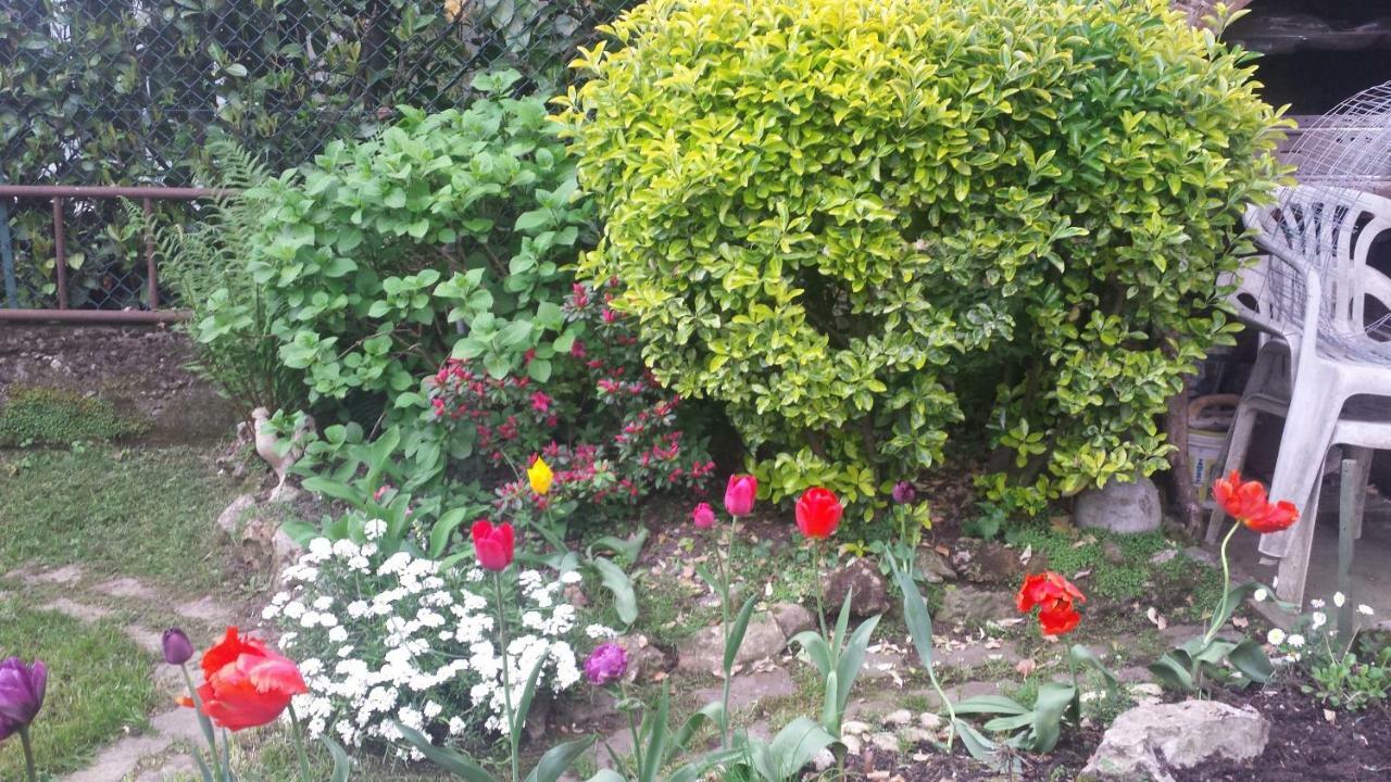 B&B Il Patio 贝尔加莫 外观 照片